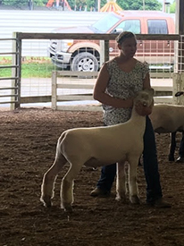 Parker Farms Winners